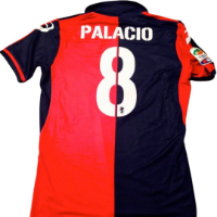 cover image of the auction item