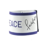 cover image of the auction item