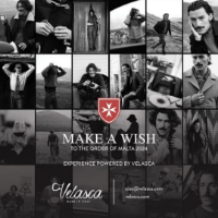 cover image of the auction item