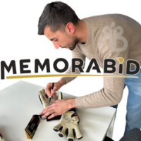 cover image of the auction item