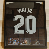 cover image of the auction item