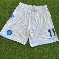 cover image of the auction item