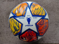 cover image of the auction item