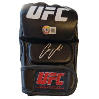 cover image of the auction item