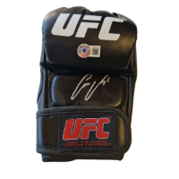 cover image of the auction item