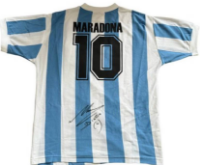 cover image of the auction item
