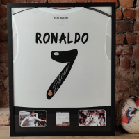 cover image of the auction item