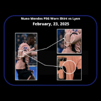 cover image of the auction item