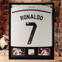 cover image of the auction item