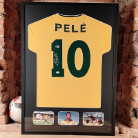 cover image of the auction item
