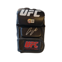 cover image of the auction item