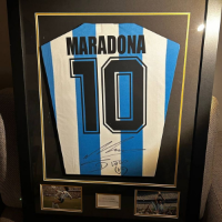 cover image of the auction item