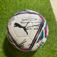 cover image of the auction item