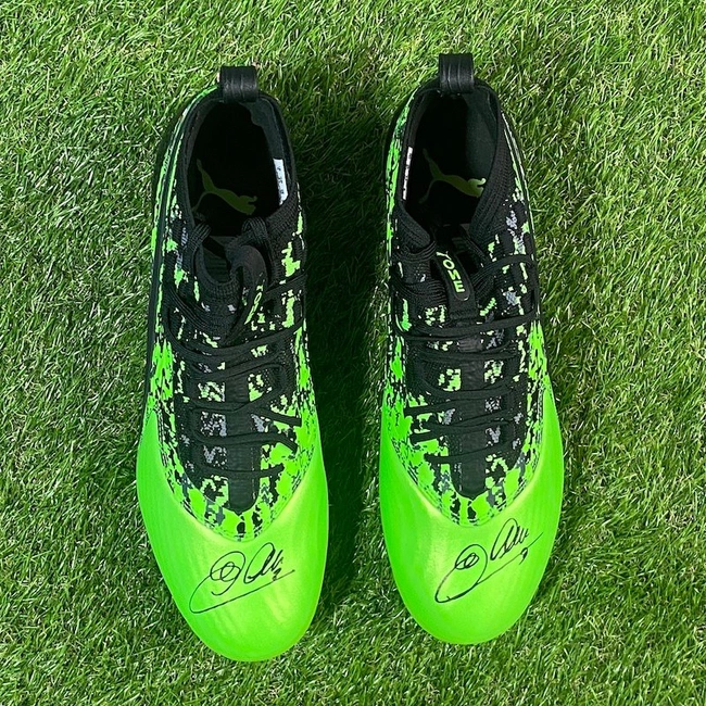 cover image of the auction item