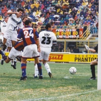 cover image of the auction item