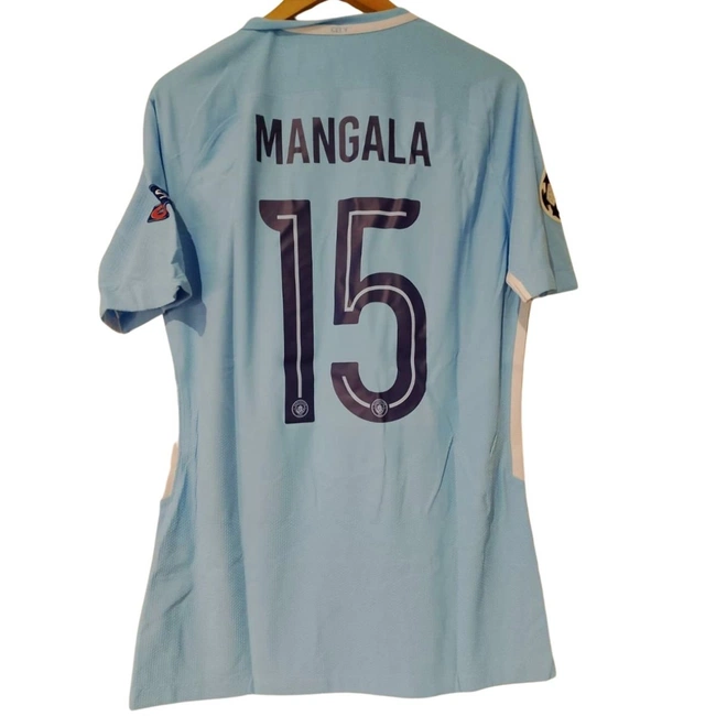 cover of the auction item