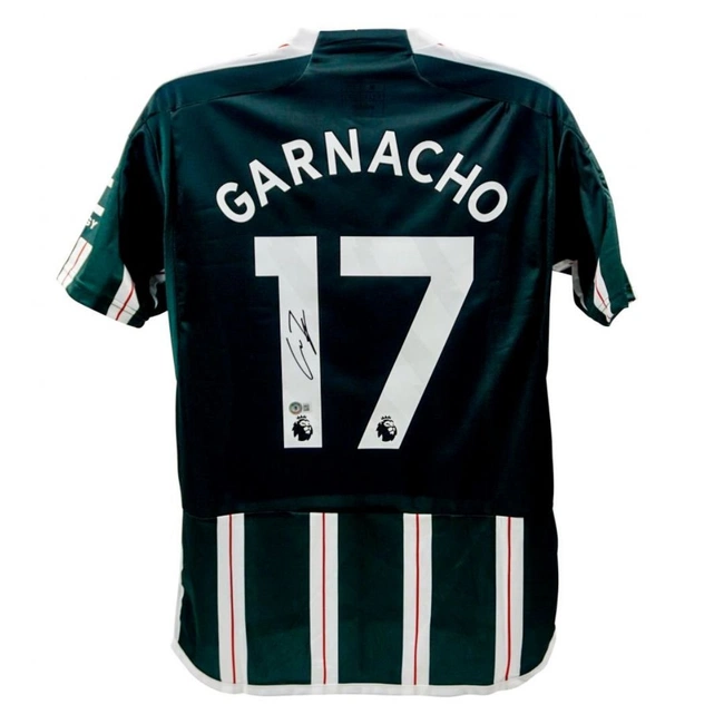 cover image of the auction item