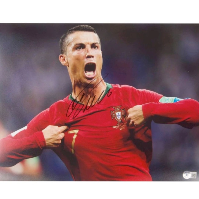 cover image of the auction item