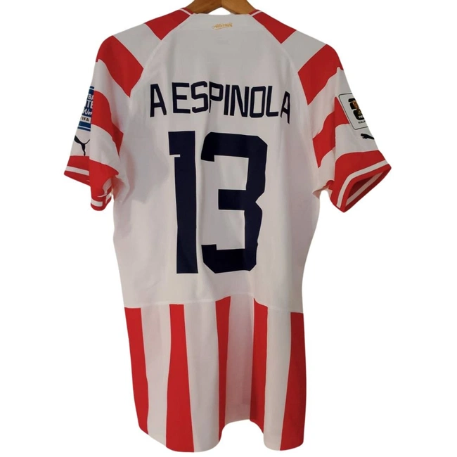 cover image of the auction item