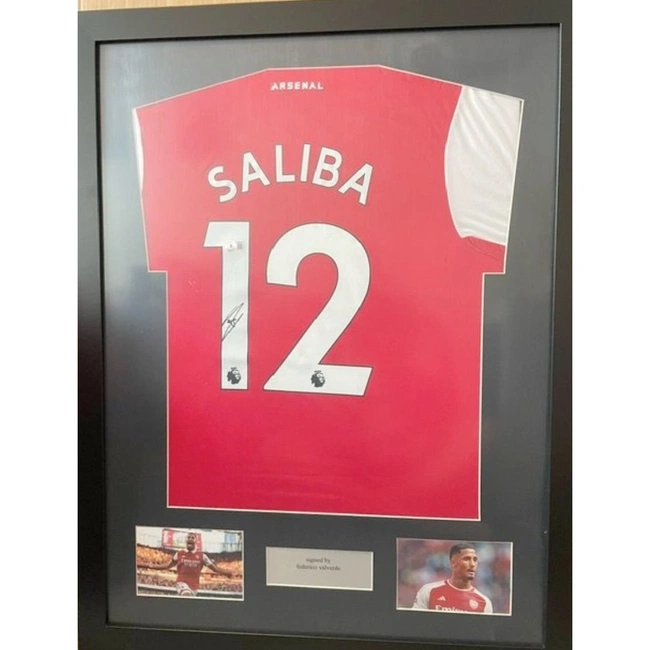 cover image of the auction item