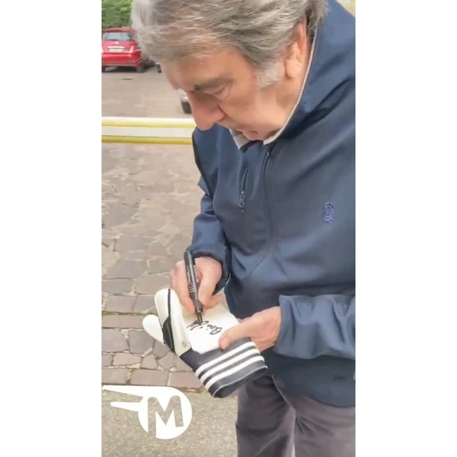 cover image of the auction item