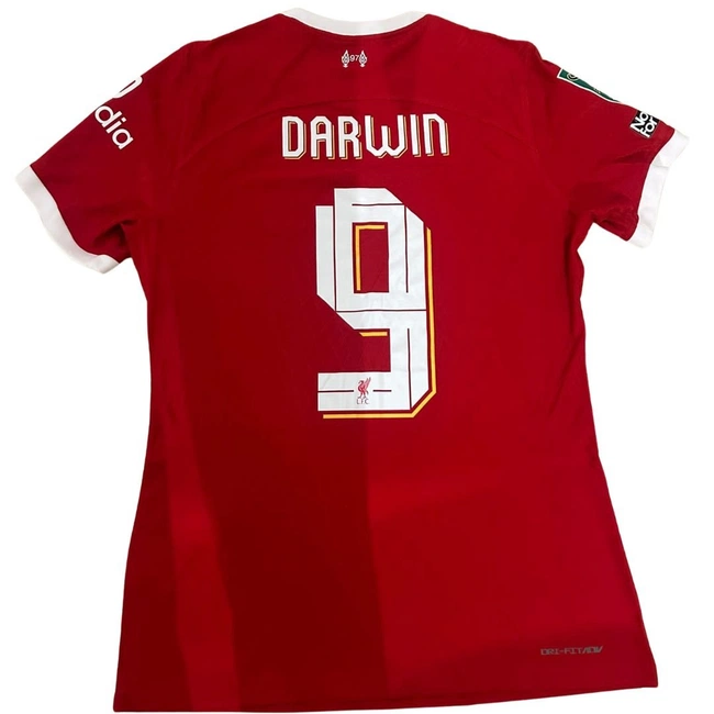 cover image of the auction item