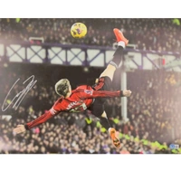 cover image of the auction item