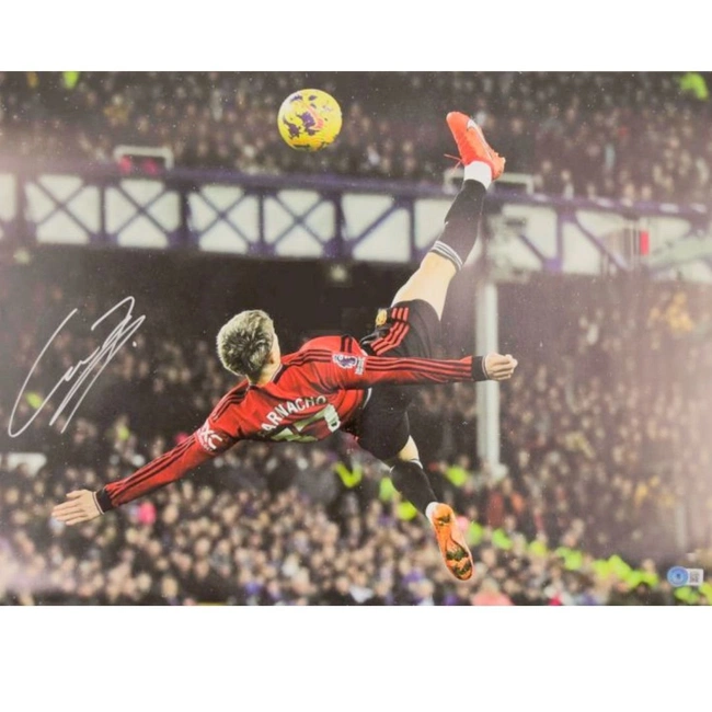 cover image of the auction item