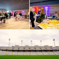 cover image of the auction item