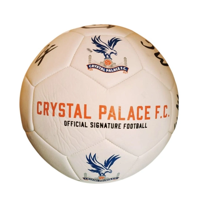 cover image of the auction item