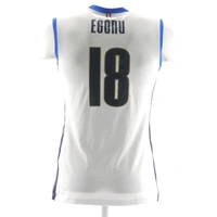 cover image of the auction item