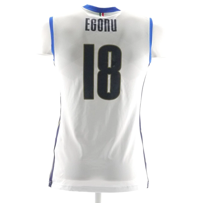 cover image of the auction item