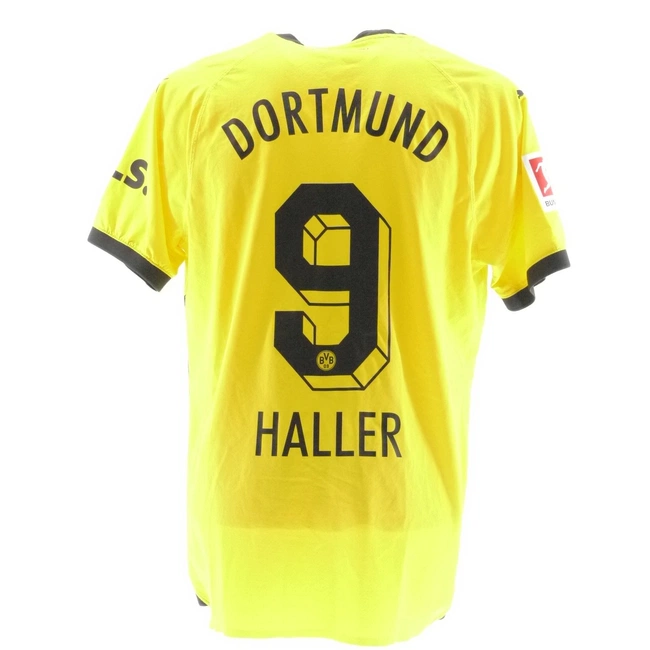 cover image of the auction item