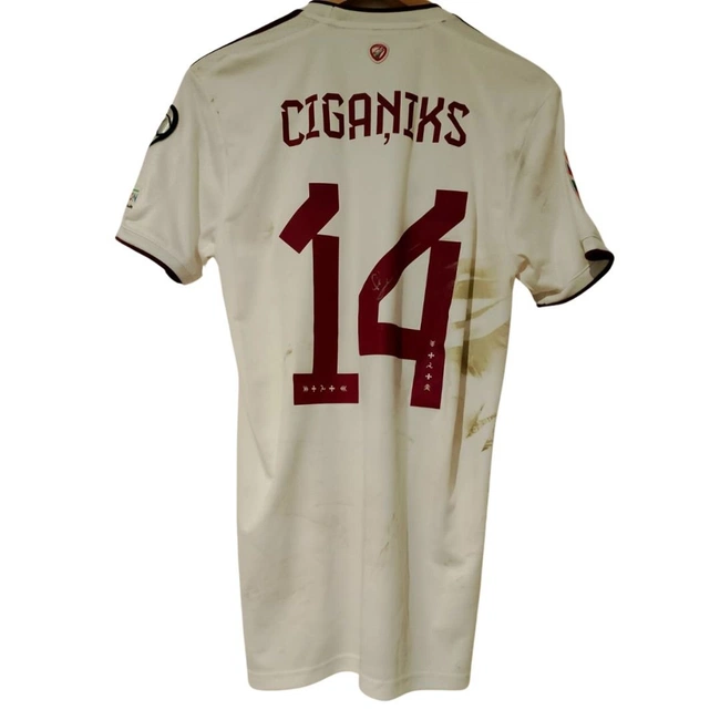 cover image of the auction item