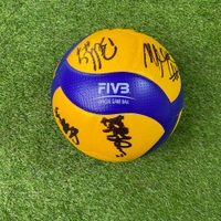 cover image of the auction item