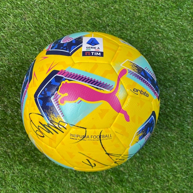 cover image of the auction item