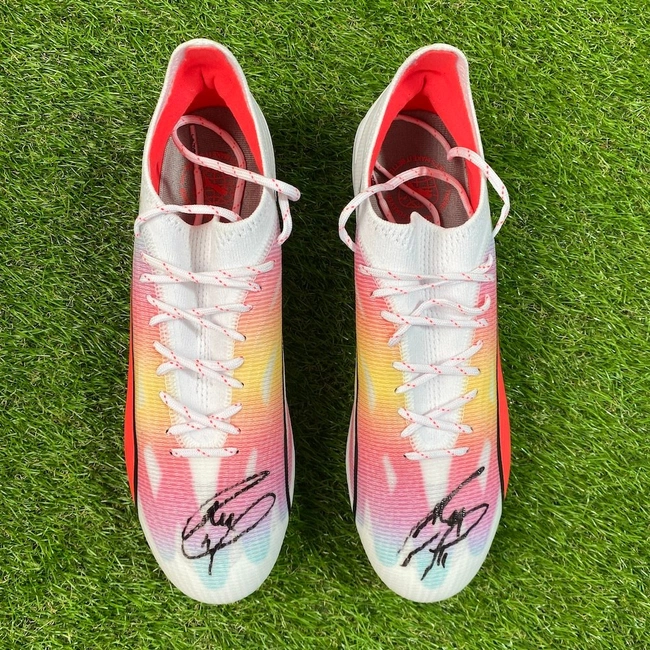 cover image of the auction item