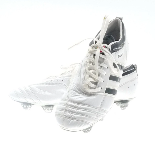 cover image of the auction item