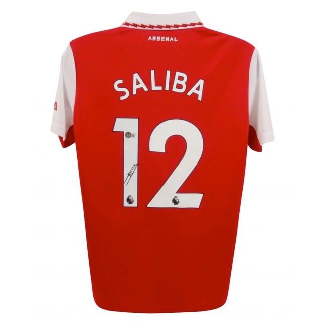 cover image of the auction item