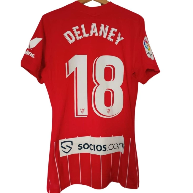 cover image of the auction item