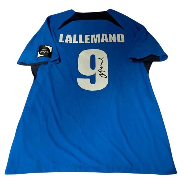 cover image of the auction item