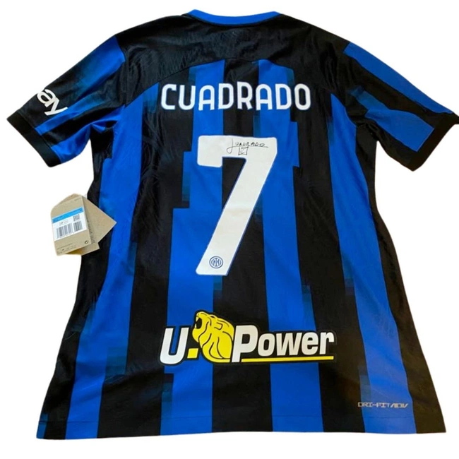 cover image of the auction item