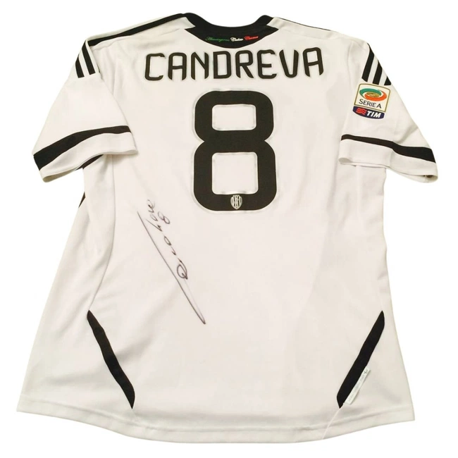 cover image of the auction item