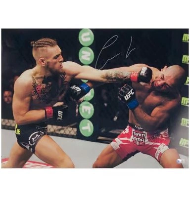 cover image of the auction item