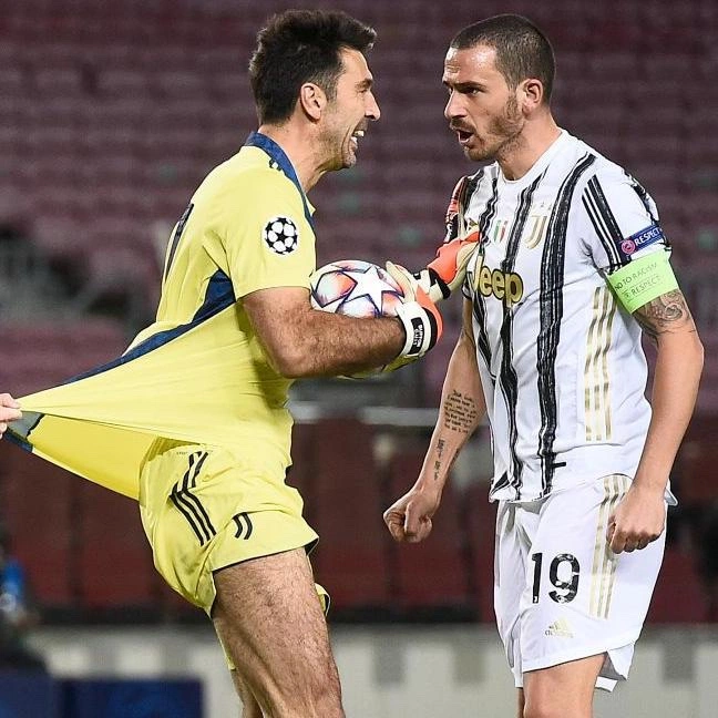 cover of the auction item