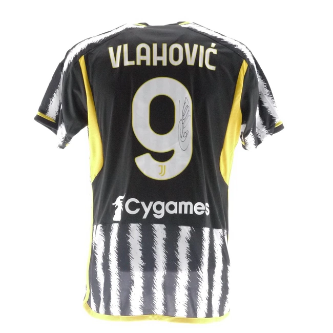 cover image of the auction item