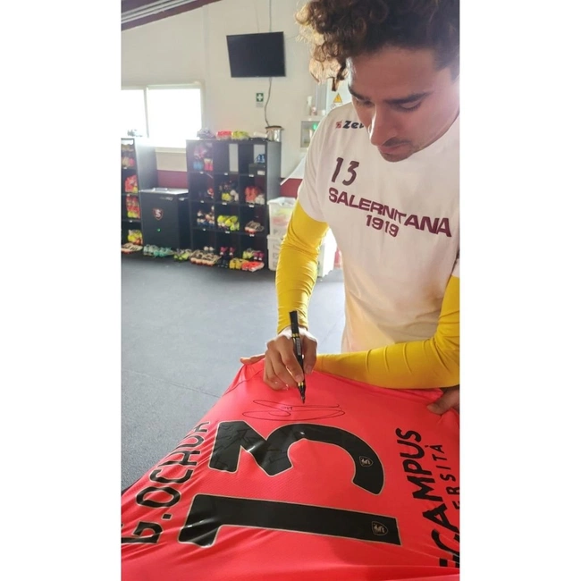 cover image of the auction item