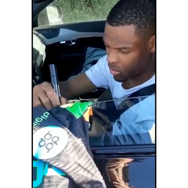 cover image of the auction item