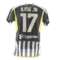 cover image of the auction item