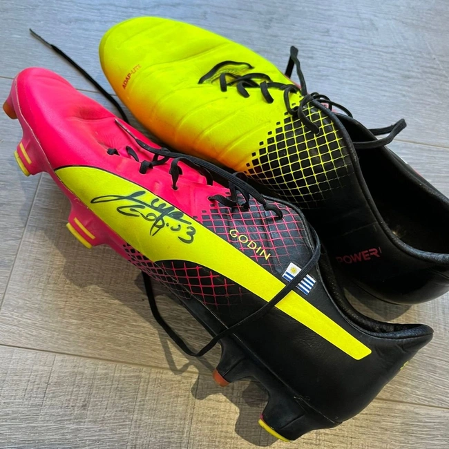 cover image of the auction item